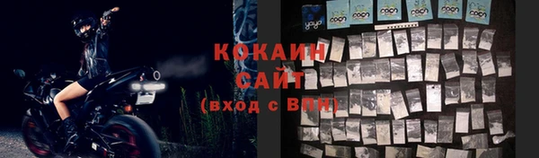 прущая мука Дмитриев