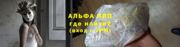 сатива Дмитровск