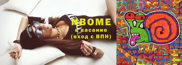 сатива Дмитровск