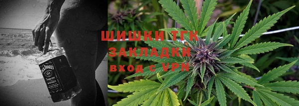 прущая мука Дмитриев
