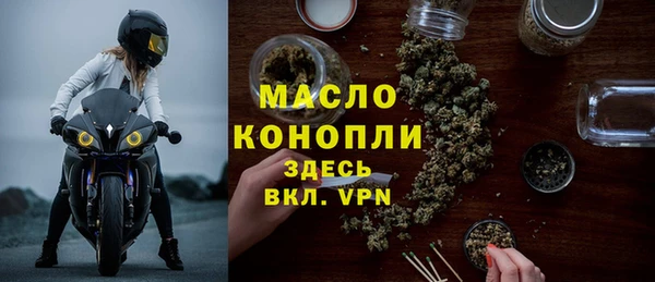 сатива Дмитровск