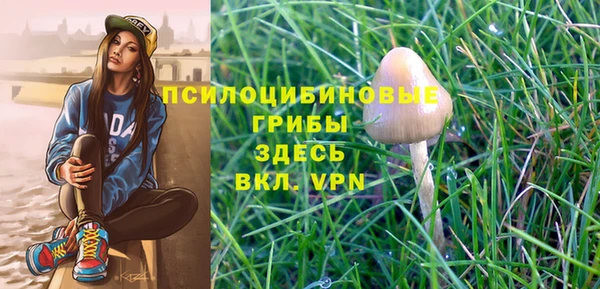 сатива Дмитровск