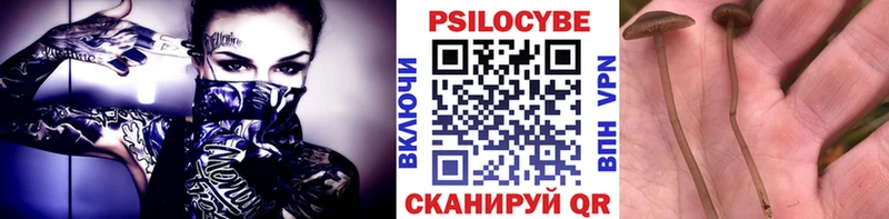 купить наркотик  Братск  Псилоцибиновые грибы мухоморы 